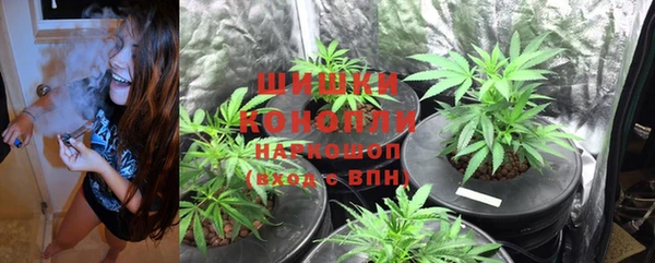 бошки Дмитровск