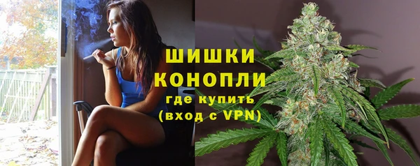 бошки Дмитровск