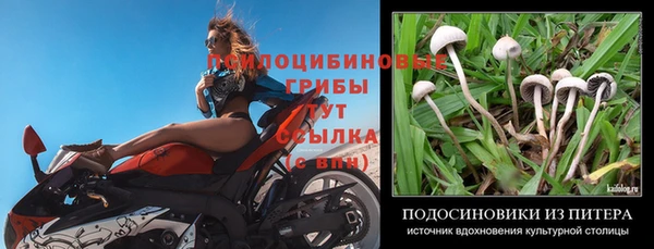 прущий лед Дмитров