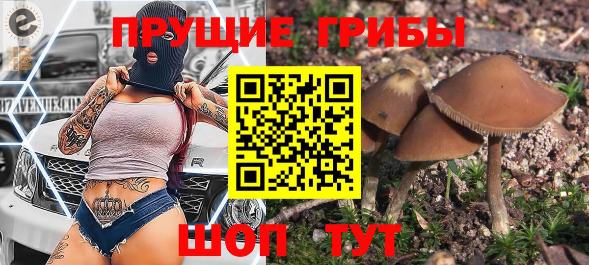 Галлюциногенные грибы прущие грибы Калач-на-Дону
